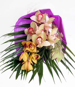  zmit Kocaeli Glck iek online iek siparii  1 adet dal orkide buket halinde sunulmakta