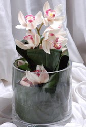  zmit Kocaeli Yenikent iekileri firmamz kaliteli taze ve ucuz iekler sunar  Cam yada mika vazo ierisinde tek dal orkide