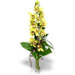  zmit iek ve pasta sat grsel hediyelik sunar 0-262-3315989 1 dal orkide iegi - cam vazo ierisinde -
