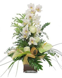  Kocaeli en zel ve en gzel anlarnzda ieklerimizile sizleri mutlu ediyoruz  cam vazo ierisinde 1 dal orkide iegi