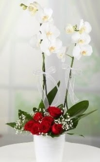 2 dall beyaz orkide 7 adet krmz gl  zmit anadolu ve avrupa yakas hzl kaliteli ieki dkkan 