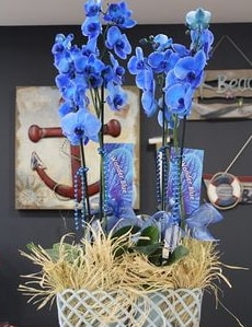 4 dall zel mavi orkide  zmit Dilovas iek servisi , ieki adresleri 